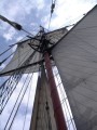 Le renard 18082003 013 * Mat, voiles et hautbans * 1536 x 2048 * (625KB)